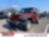 1J4AA2D18AL204670-2010-jeep-wrangler-2
