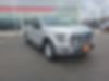 1FTEW1EP0FKE86953-2015-ford-f-150-2