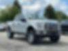 1FTEW1EFXGFA73553-2016-ford-f-150-1