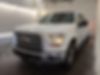 1FTEW1EP0GFD36996-2016-ford-f-150-0