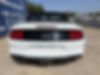 1FATP8FF7K5104273-2019-ford-mustang-1