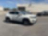 3C4NJCBB5KT677229-2019-jeep-compass-1