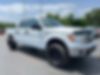 1FTFW1ET3EFD01027-2014-ford-f-150-0