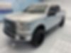 1FTEW1EP4GKF03786-2016-ford-f-150-0