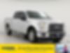 1FTEW1CP2GFA07249-2016-ford-f-150-0