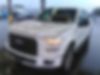 1FTEW1EP2GFC67132-2016-ford-f-150-0