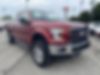 1FTEX1EP5FFC05686-2015-ford-f-150-0