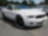1ZVBP8AN5A5171065-2010-ford-mustang-0