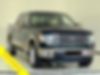 1FTFW1ET5DFB42168-2013-ford-f-150-0
