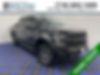 1FTEW1EP5GFC06261-2016-ford-f-150-0