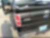 1FTEW1C81AFB03762-2010-ford-f-150-2