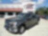 1FTEW1CP6GKF17059-2016-ford-f-150-0