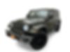 1C4JJXP64MW688916-2021-jeep-wrangler-unlimited-4xe
