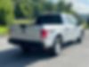 1FTEW1E83HKD49677-2017-ford-f-150-1