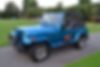 1J4FY29S7PP227703-1993-jeep-wrangler-0