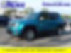 ZACNJDD19MPM46626-2021-jeep-renegade-0
