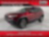 1C4PJMBXXMD165940-2021-jeep-cherokee-0