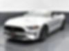 1FATP8FF5K5126014-2019-ford-mustang-2