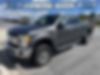 1FT7W2B68HED82741-2017-ford-f-250-1