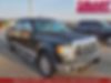 1FTFW1CT4CKD41785-2012-ford-f-150-0
