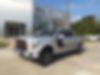 1FTEW1EG0GFC07303-2016-ford-f-series-0