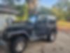 1J4FA39S13P328711-2003-jeep-wrangler-1