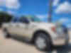 1FTEW1C81AFC29250-2010-ford-f-150-1