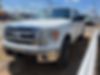 1FTFW1ET0DFB24290-2013-ford-f-150-0