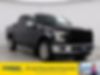 1FTEW1EFXGFA65985-2016-ford-f-150-0
