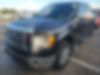 1FTFW1CT0BFB75529-2011-ford-f-150-0