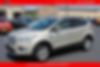 1FMCU0GD1JUD20783-2018-ford-escape-0
