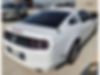 1ZVBP8AM7E5302087-2014-ford-mustang-2