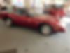 1G1YZ23J6L5802108-1990-chevrolet-corvette-2