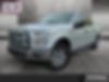 1FTEW1EP1GKF05950-2016-ford-f-150-0