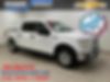 1FTEW1EP1HKD50060-2017-ford-f-150-0