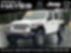 1C4HJXFN3LW266142-2020-jeep-wrangler-unlimited