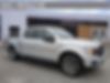 1FTEW1EP3KFA59852-2019-ford-f-150-0