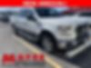 1FTEW1CP1GFA12183-2016-ford-f-150-0