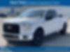 1FTEX1EP0GKF34871-2016-ford-f150-0