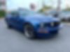 1ZVHT82HX65207158-2006-ford-mustang-2