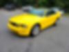1ZVHT85H665162988-2006-ford-mustang-0
