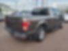 1FTEX1EP4GFD30485-2016-ford-f-150-1