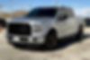 1FTEW1CP0HKD82596-2017-ford-f-150-1