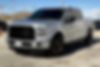 1FTEW1CP0HKD82596-2017-ford-f-150-1