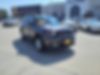 ZACNJBBB8KPK30246-2019-jeep-renegade-0