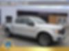 1FTEW1EP3KFA59852-2019-ford-f-150-0