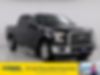 1FTEW1CP4GKF94755-2016-ford-f-150-0