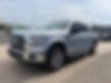 1FTEW1CGXFKD15307-2015-ford-f-150-2