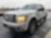 1FTFW1ET0BFC81248-2011-ford-f-150-0