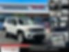 ZACNJBD1XLPL47168-2020-jeep-renegade